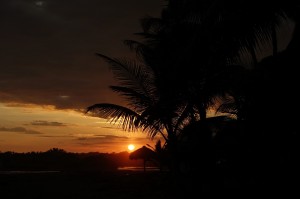 DSC03069   